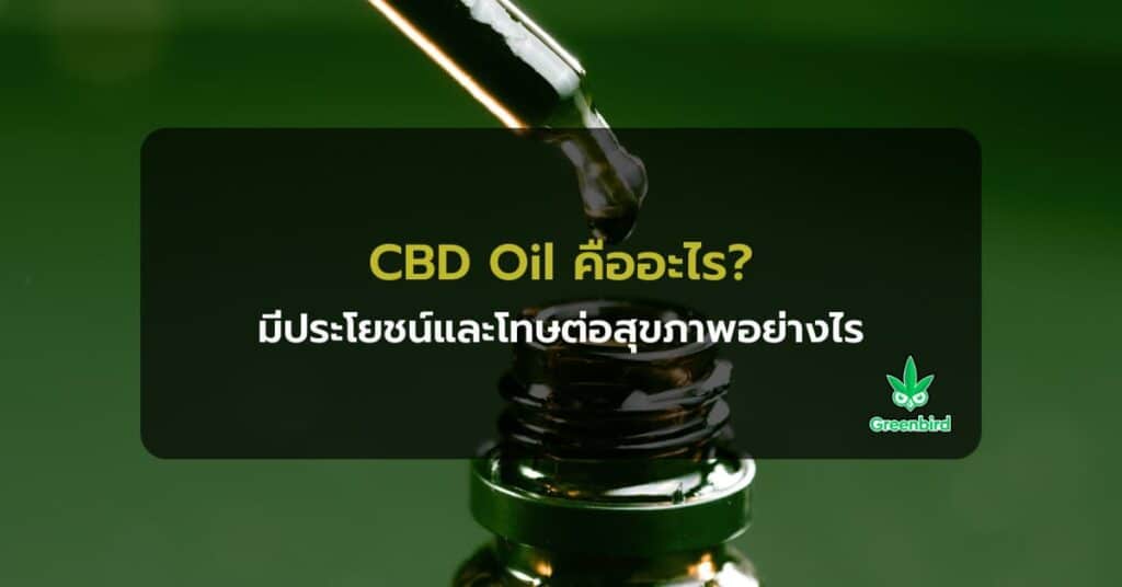 cbd oil คืออะไร